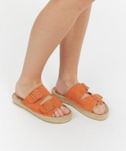 Zensty.shop28c2e58a0d 2