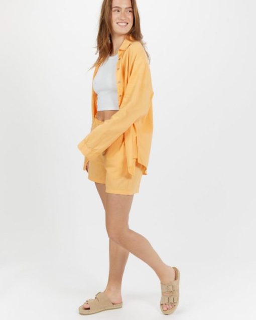 Zensty.shop52d658e4bc 3