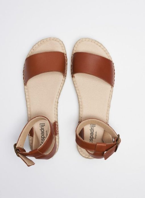 Zensty.shop737c832b39 1