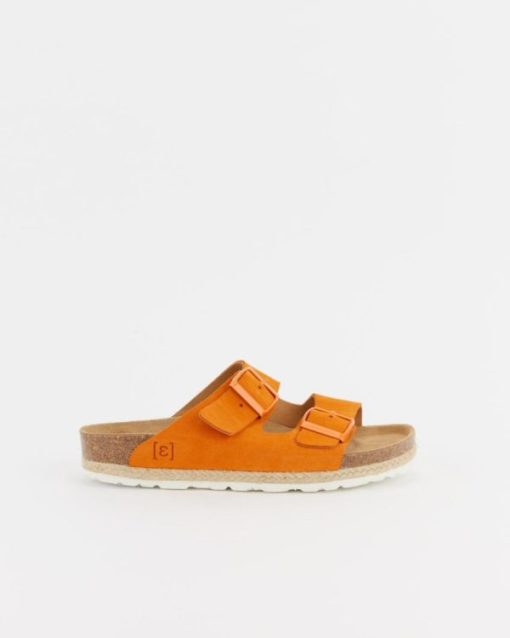 Zensty.shopc818bd5a01 3