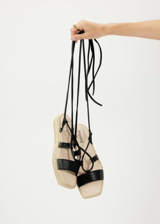 Zensty.shopd95ed27b1f 1