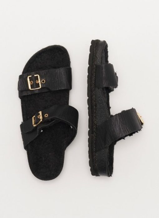 Zensty.shopd9a194eb66 2